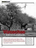 Vizcachas