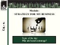 Vladimir Dzenopoljac - Strategy for my business
