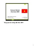 Vietnam digital marketing overview 2009