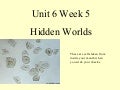 Vocabulary u 6 w 5