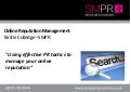 Online Reputation Management for Electrical Product Manufacturers