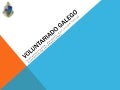 Voluntariado galego