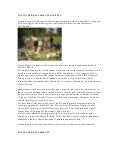 Volunteer placements in kenya