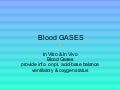 Voxx Blood Gases.1