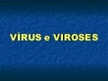 VíRus E Viroses 2010