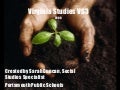 Vs3 review, 2008[1]