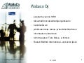 Työelämän vaatimukset / Taloushallinto, Wabuco Oy 10.2.2012