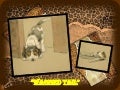 Wagged Tail (Calvin Aldin, 1902 Publication)
