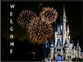 The walt Disney Company