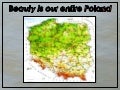 Wanderings on Poland (6)