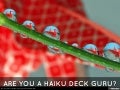 Wanted: Haiku Deck Gurus (Created with Haiku Deck)