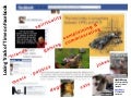 Wasting Time on Facebook