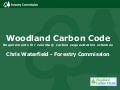 Development of carbon code – experience from forestry