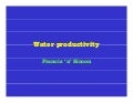 Water Productivity