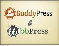 BuddyPress and bbPress