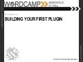 Building your first plugin by John Hawkins at WordCamp MSP