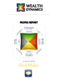 Sample Wealth Dynamics Report - What Entrepreneur Profile are You?