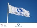 World Diabetes Day 2009-2013