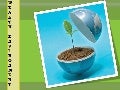Wealth environment