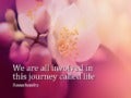 We are all involved in this journey called