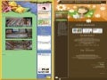 Web Blogku