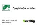Proč zpoplatnit obsah na internetu a jak?