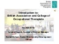 Introduction to BAOT/COT: Your Professional Association