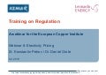 Electricity Markets Regulation - Lesson 8 - Pricing