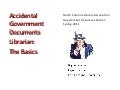 Accidental Gov Info Lib: The Basics