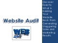 Website Audit