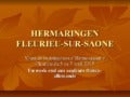 Visite de la délégation d'Hermaringen