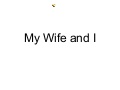 Wedding Diary