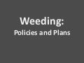 Weeding Collections: A Four Library Perspective