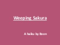 Weeping Sakura