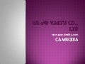 We provide project manager, management for new investments in cambodia