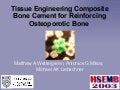 Tissue Engineered Composite Bone Cement For Reinforcing Osteoporotic Bone, 4/2003
