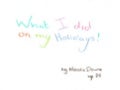 What I Did Holidays