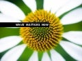 What matters now