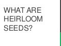 What are Heirloom Seeds?