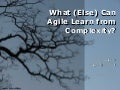 What (Else) Can Agile Learn From Complexity