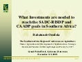 What investments are needed to reach the SADC-RISDP and CAADP goals in Southern Africa?