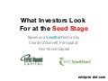3 Things Investors Look For at the Seed Stage