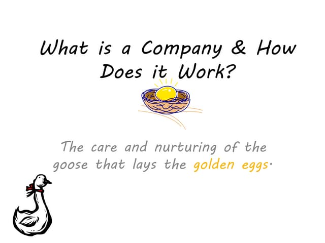What is a company