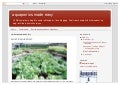 What is aquaponic