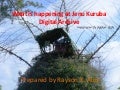 What Is Happening At Jenu Kuruba Archive