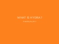 What is Hydra?