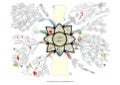 What is inspiration Mind Map