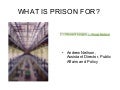 What is prison for?