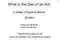 What is the dao of an ant