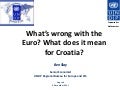 What's wrong with the Euro?  What does it mean for Croatia?